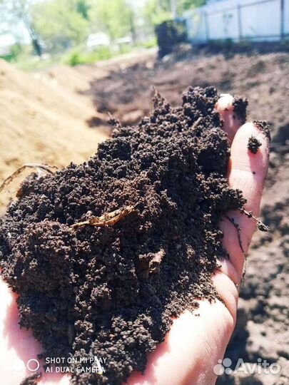 Чернозем, земля плодородная, перегной для огорода