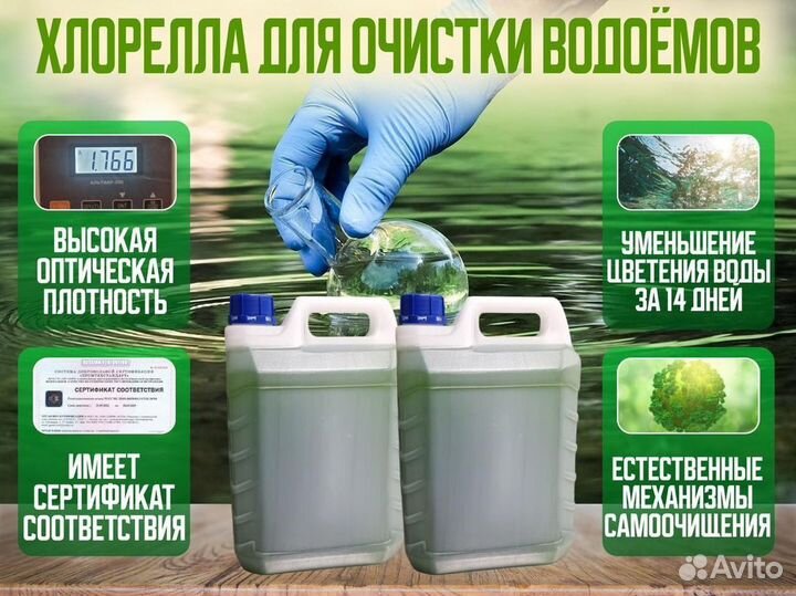 Живая водоросль суспензия для водоема