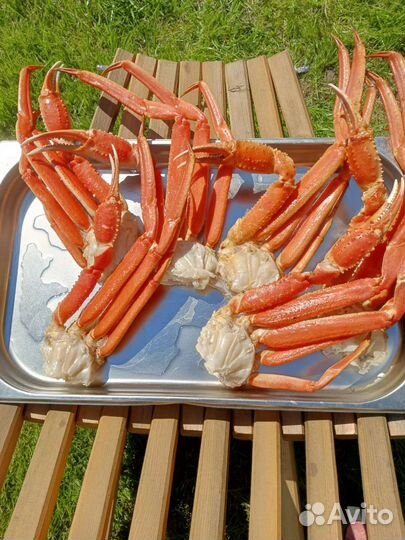 Клешни краба стригуна