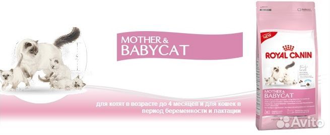 Для котят и кошек Babycat, Queen 4 кг роял канин
