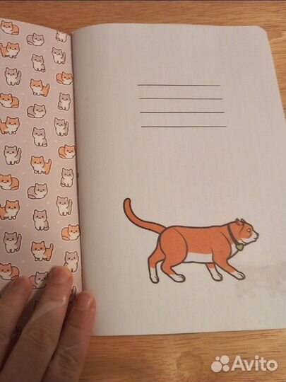 Тетрадь в точку