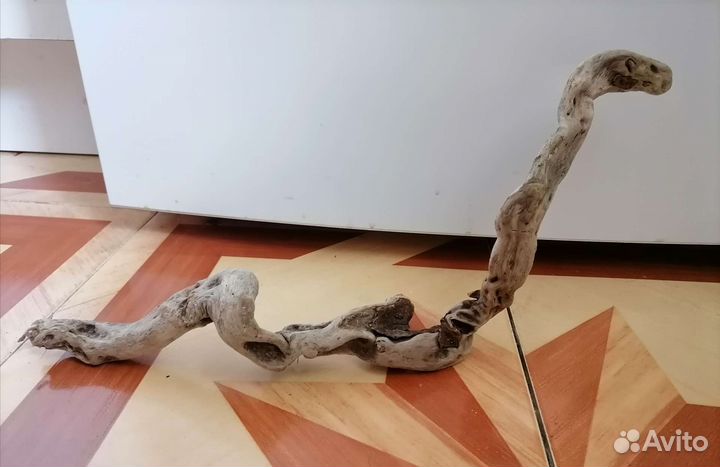 Морские коряги