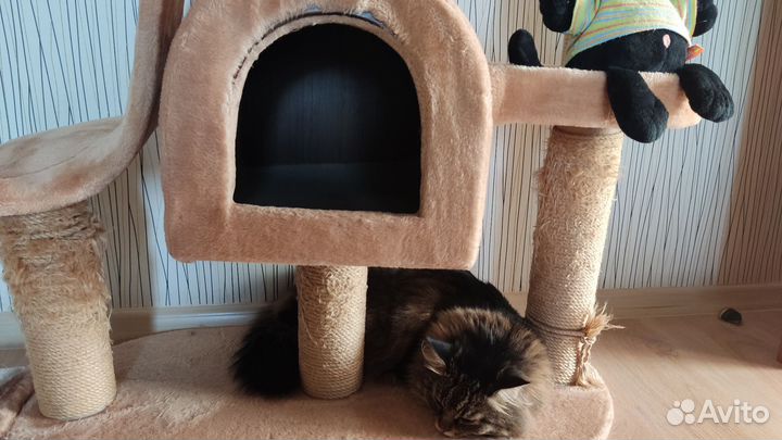 Игровой спорт комплекс для кошек и котов