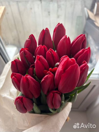 Тюльпаны с луковицей