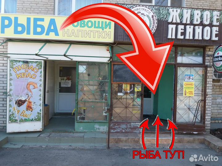 Морепродукты и рыба