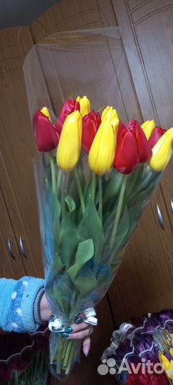Тюльпаны к 8 марта опт и розница