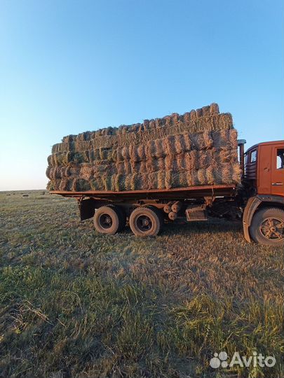 Сено в тюках