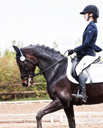 Конный спорт Конкур Выездка