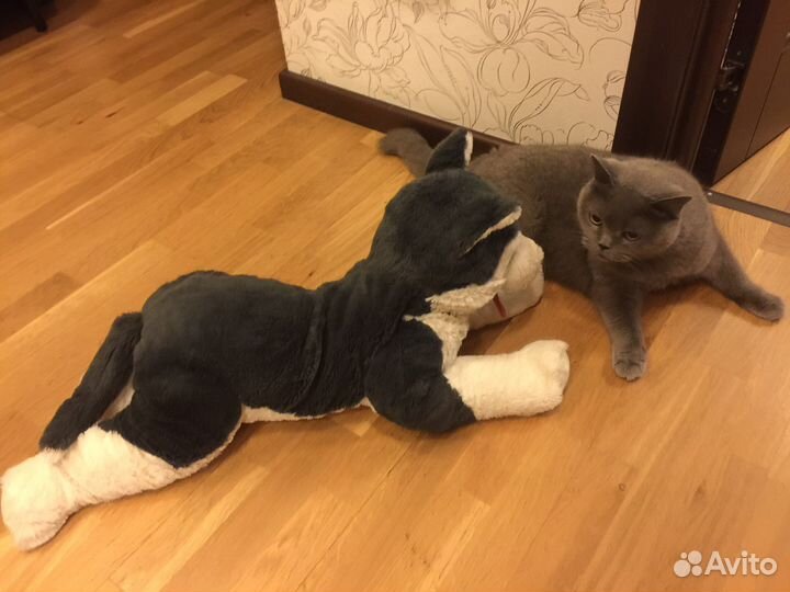 Большая плюшевая собака икеа