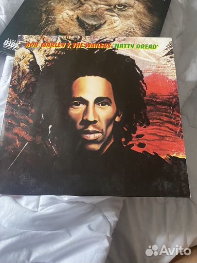 Виниловая пластинка