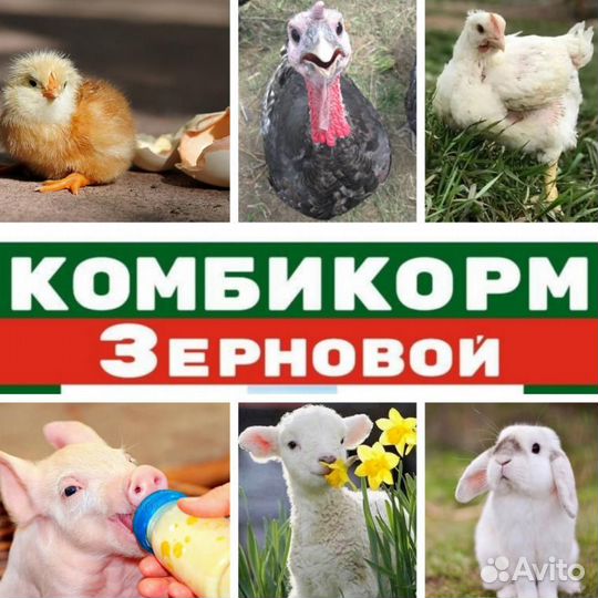 Сухое молоко биолактис 12; 16