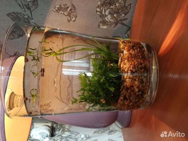 Аквариум тяжелая, устойчивая ваза 5,5 литров