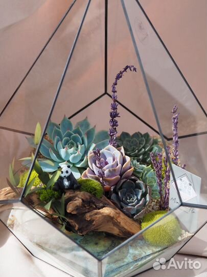 Флорариум из суккулентов (с фигурками)