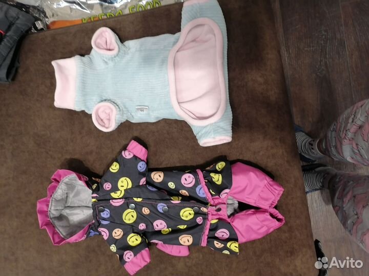 Одежда для маленьких собак и кошек