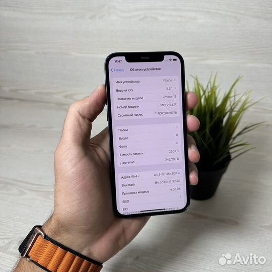 iPhone 12, 256 ГБ