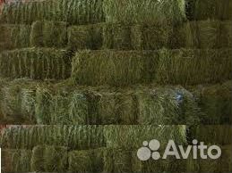Сено в рулонах и брикетах