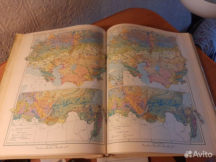 Атлас ареалов и ресурсов растений СССР