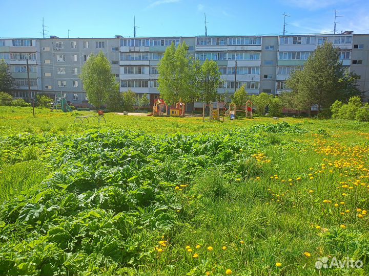 Покос травы