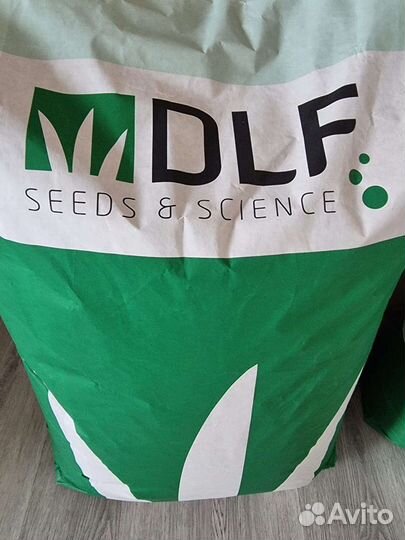 Клевер Белый Ривендел Дания DLF, 2023 г