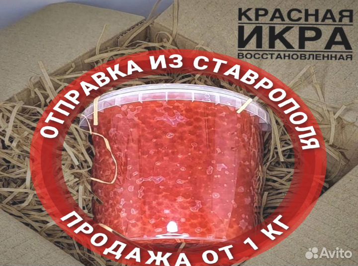 Красная икра оптом