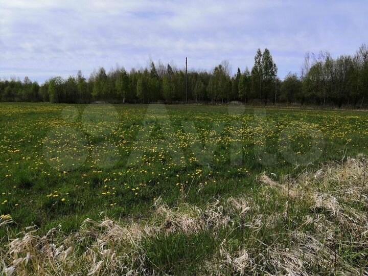 Участок 5,7 га (СНТ, ДНП)