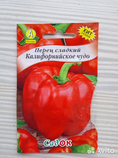 Рассада томатов, перца, огурцов