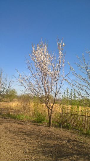 Дача 65,1 м² на участке 40 сот.