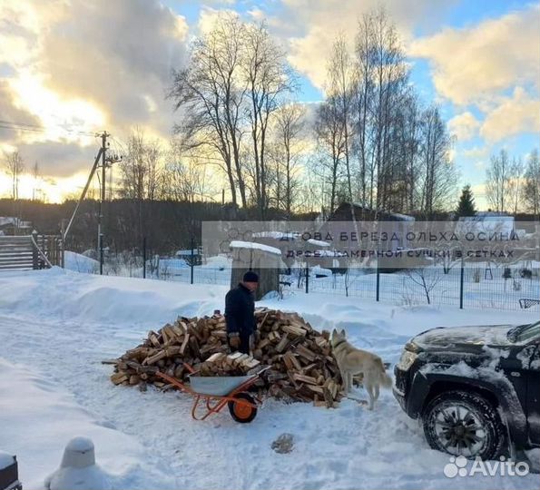 Дрова сухие