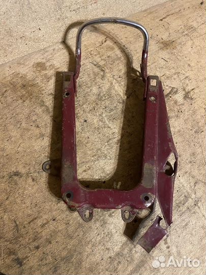 Белка Ява старушка