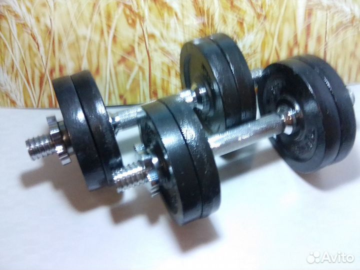 Гантели разборные