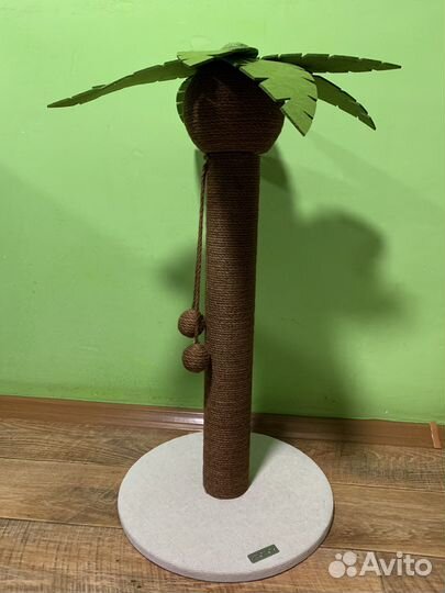 Когтеточка