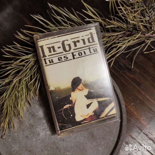 Аудиокассета In Grid tu es foutu