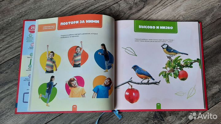 Книга для развития ребёнка. Ваш малыш шаг за шагом