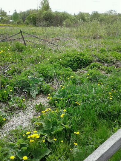 Участок 15 сот. (ИЖС)