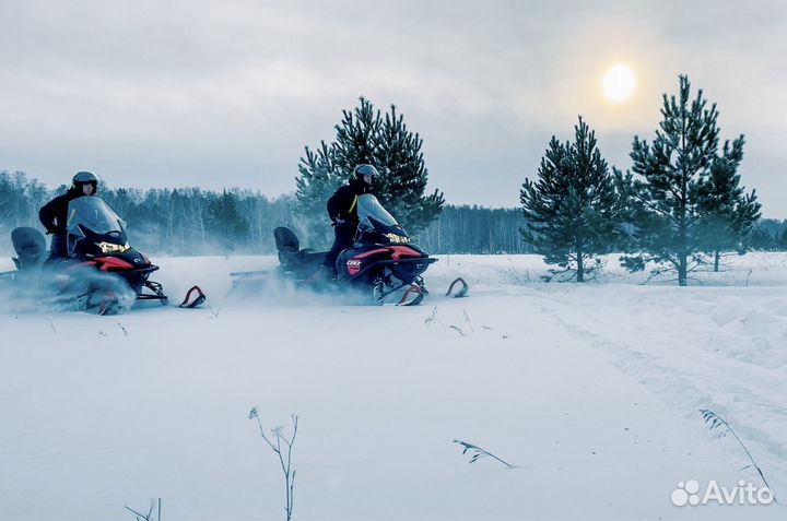 Прокат снегоходов, туры на снегоходах