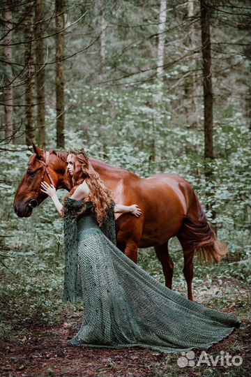 Продается рыжий мерин