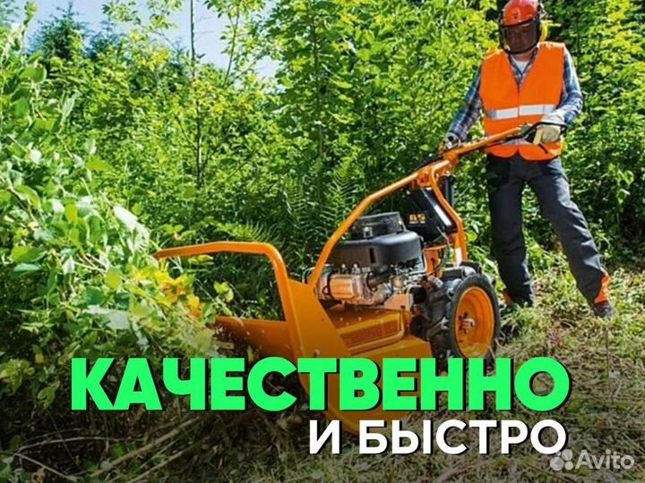 Расчистка участка под ключ. Спил деревьев и покос