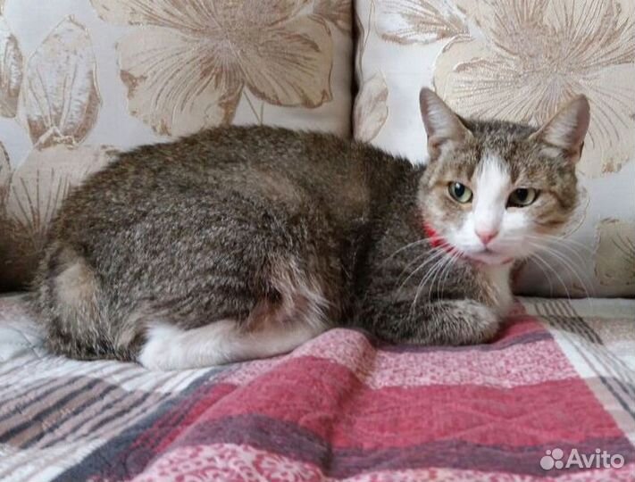 Нежная красавица - молодая Милаша в дар