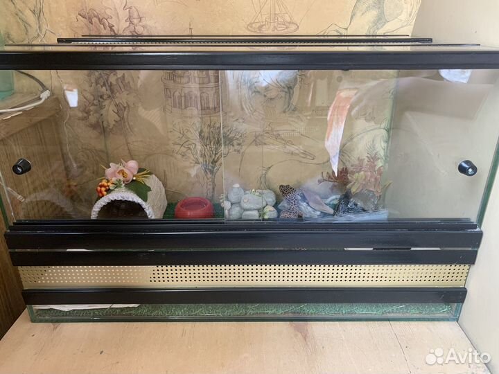 Террариум и эублефар