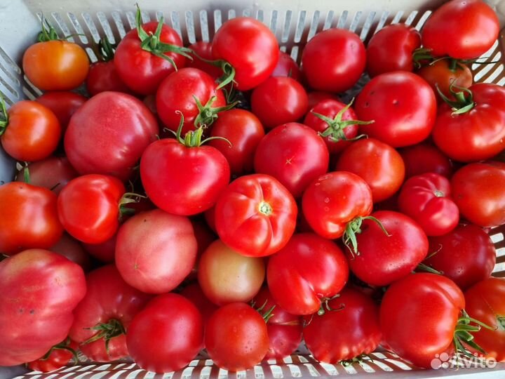 Помидоры, лук-порей