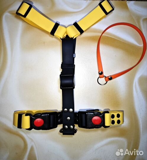 Амуниция для собак