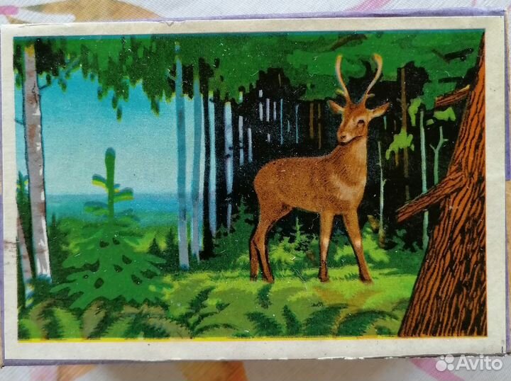 Спички СССР. 