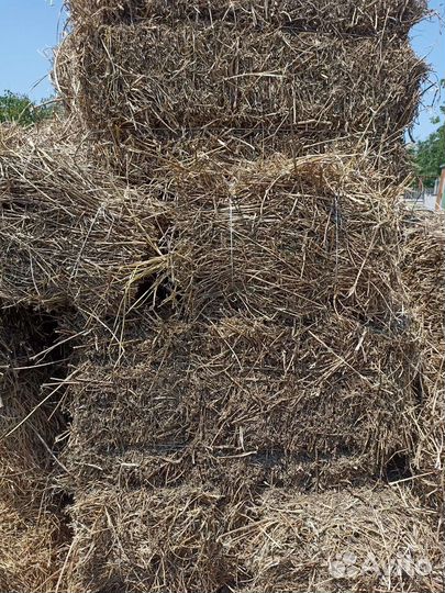 Сено люцерны в тюках