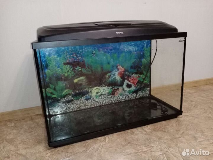 Аквариум