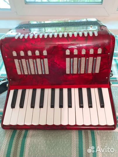 Аккордеон 1/2 Maxtone детский