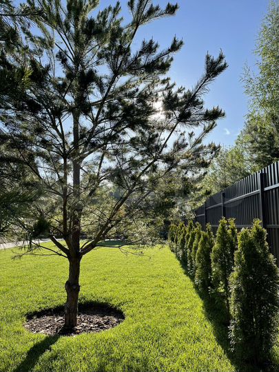 Дом 170 м² на участке 12 сот.