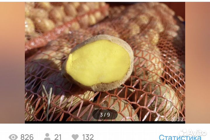 Семенной картофель