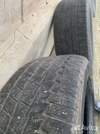 Maxxis ArcticTrekker NS5 205/55 R16