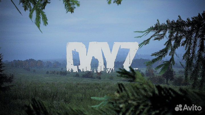 DayZ PS4/PS5 на Русском