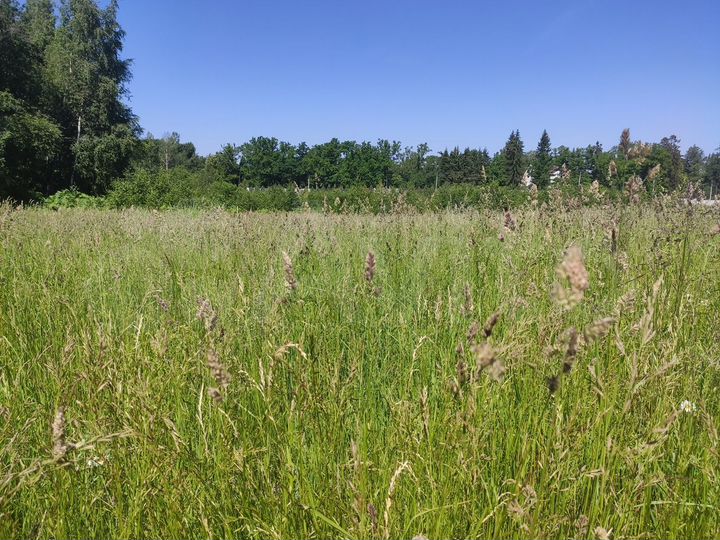 Участок 11,8 сот. (СНТ, ДНП)